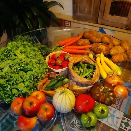 Et Table D'hôtes Le Jardin De Tesse Alojamento de Acomodação e Pequeno-almoço Toulon
